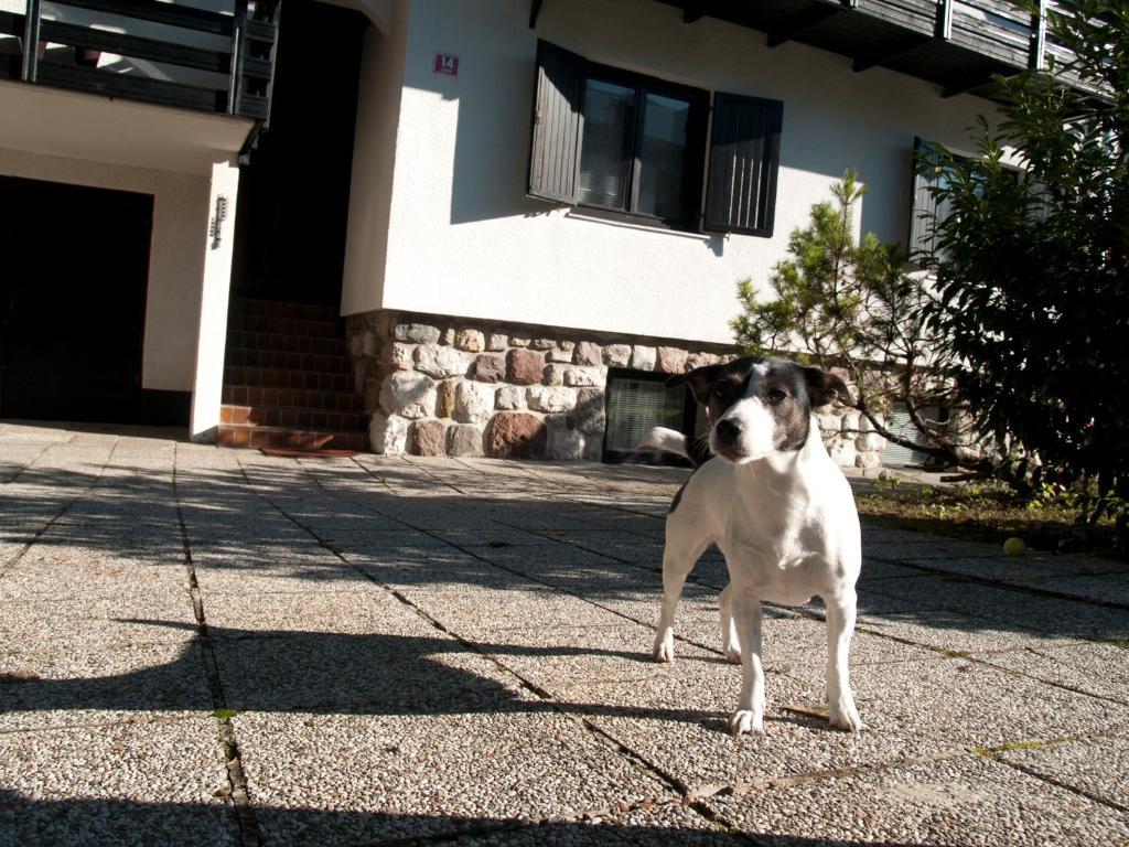 Apartments Otasevic Kranjska Gora Exterior foto